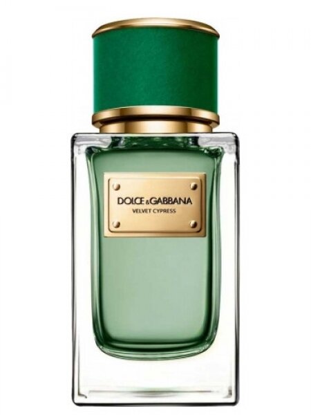 Dolce&Gabbana Velvet Cypress EDP 50 ml Unisex Parfüm kullananlar yorumlar